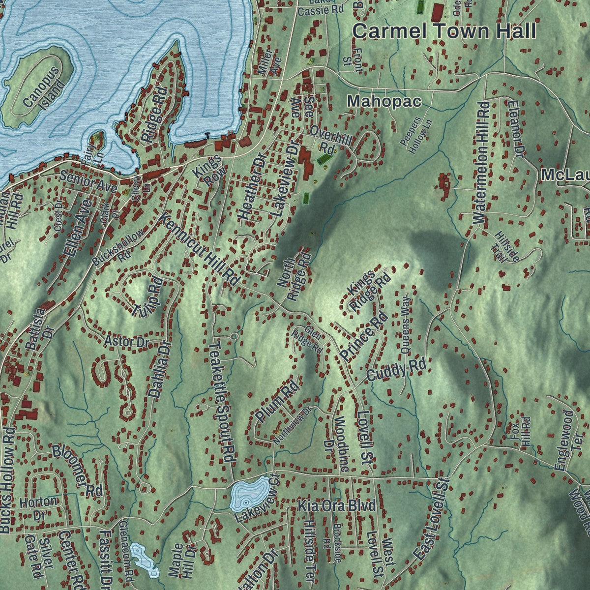 Close-up 1 of the Carmel, New York map artwork