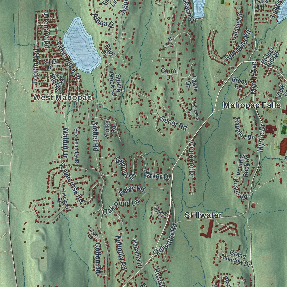 Close-up 2 of the Carmel, New York map artwork