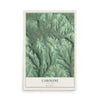 Caroline, New York map print, 12" x 18" Archival Matte Print mockup