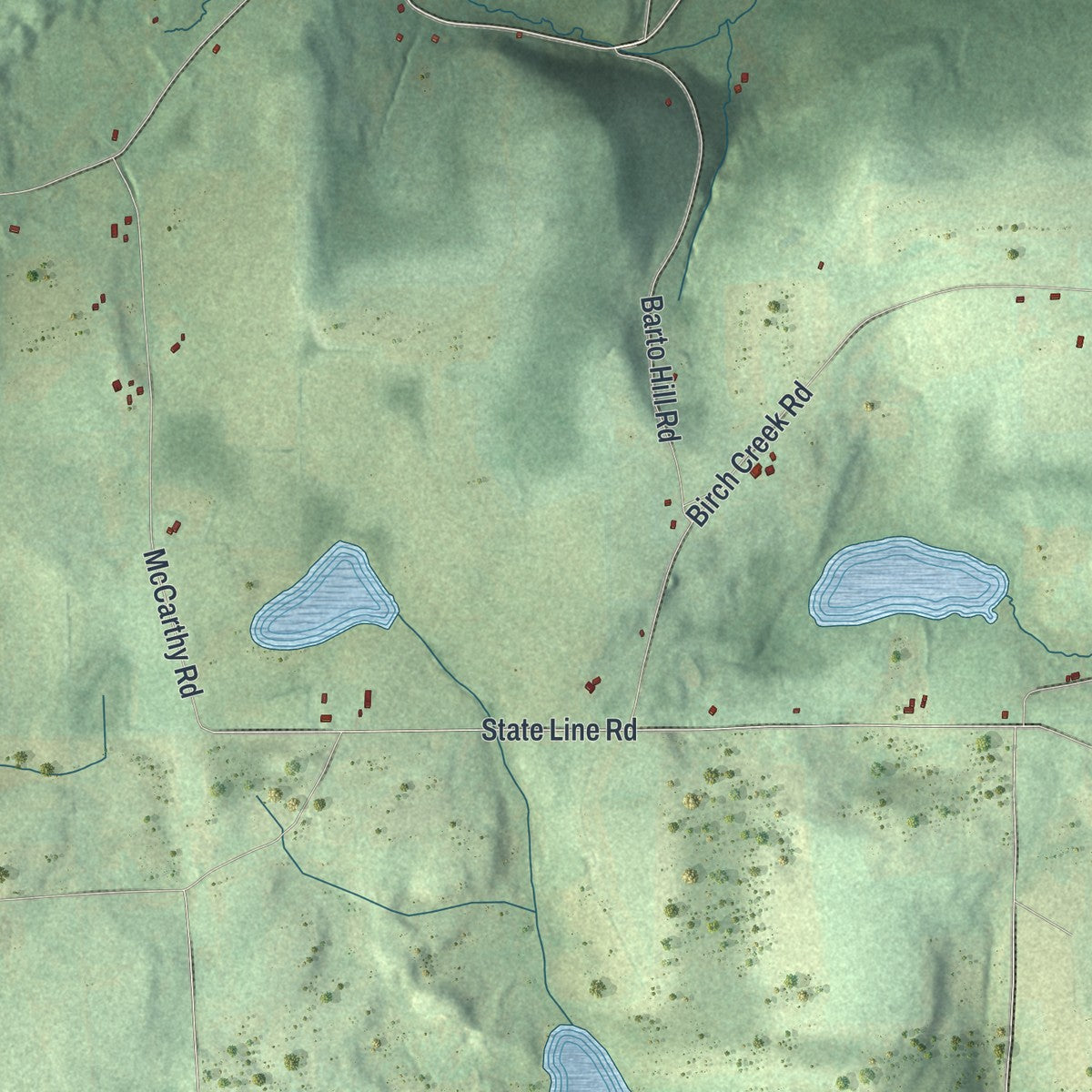 Close-up 2 of the Caton, New York map artwork