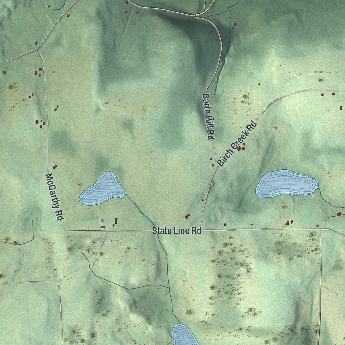 Second close-up of the map of Caton, New York print showing more streets and buildings