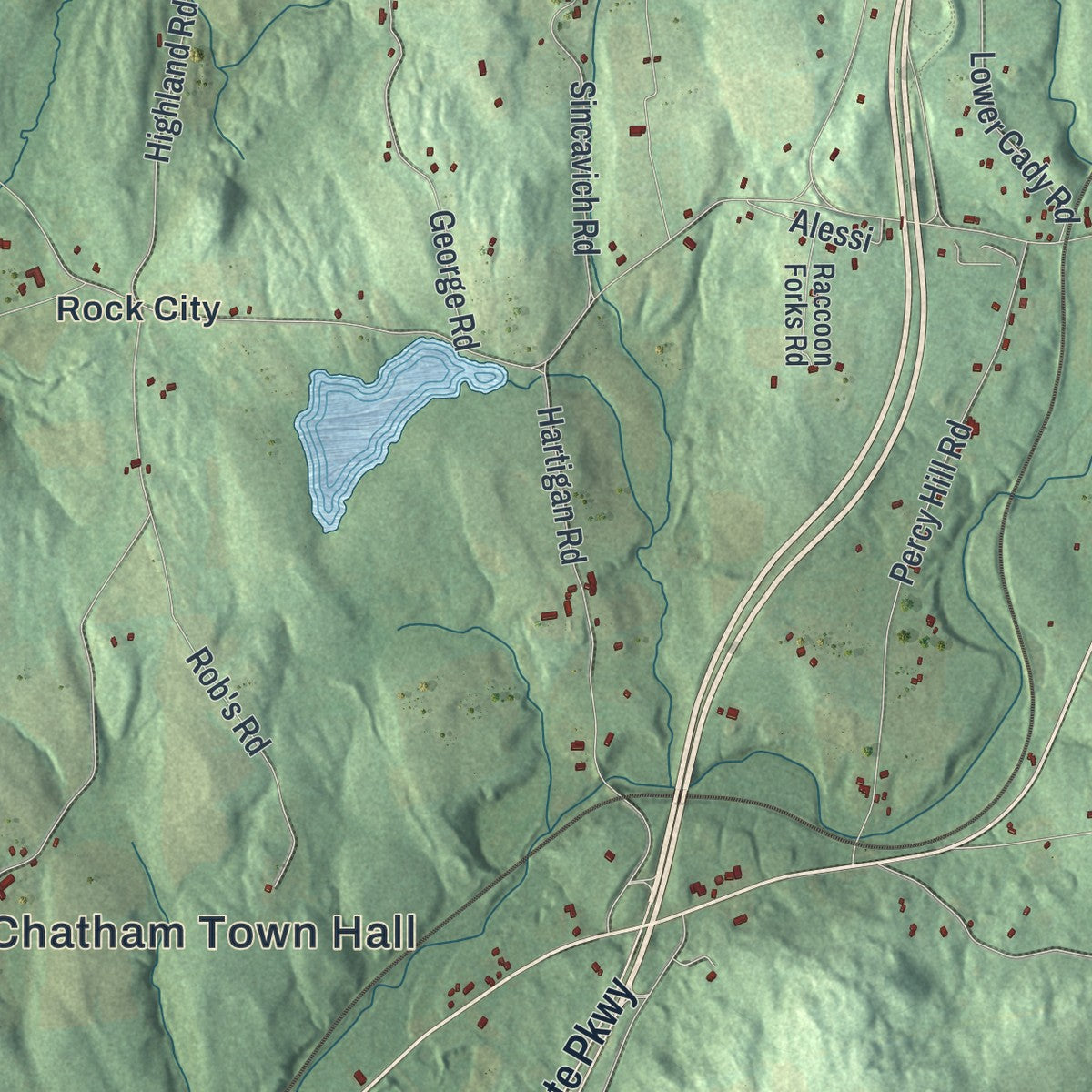 Close-up 2 of the Chatham, New York map artwork