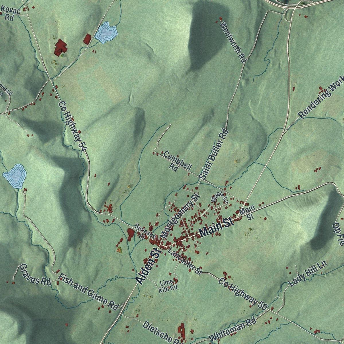 Close-up 1 of the Cherry Valley, New York map artwork