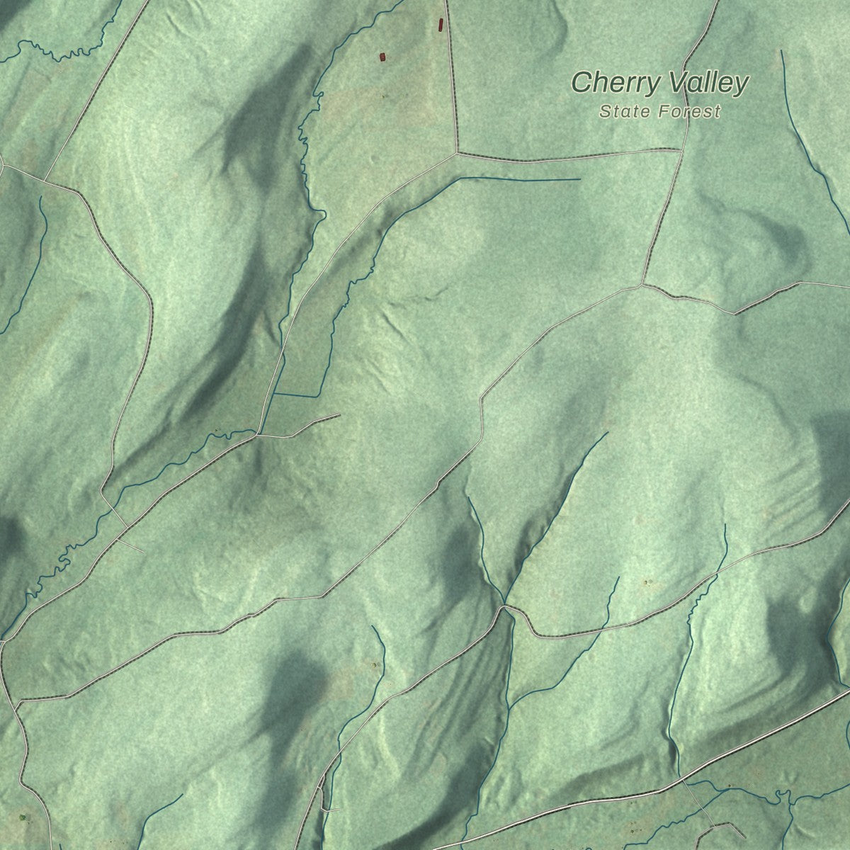 Close-up 2 of the Cherry Valley, New York map artwork