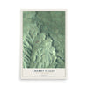 Cherry Valley, New York map print, 12" x 18" Archival Matte Print mockup