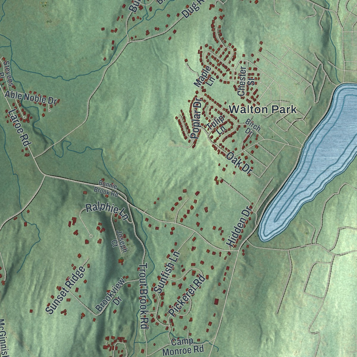 Close-up 2 of the Chester Town (Orange County), New York map artwork