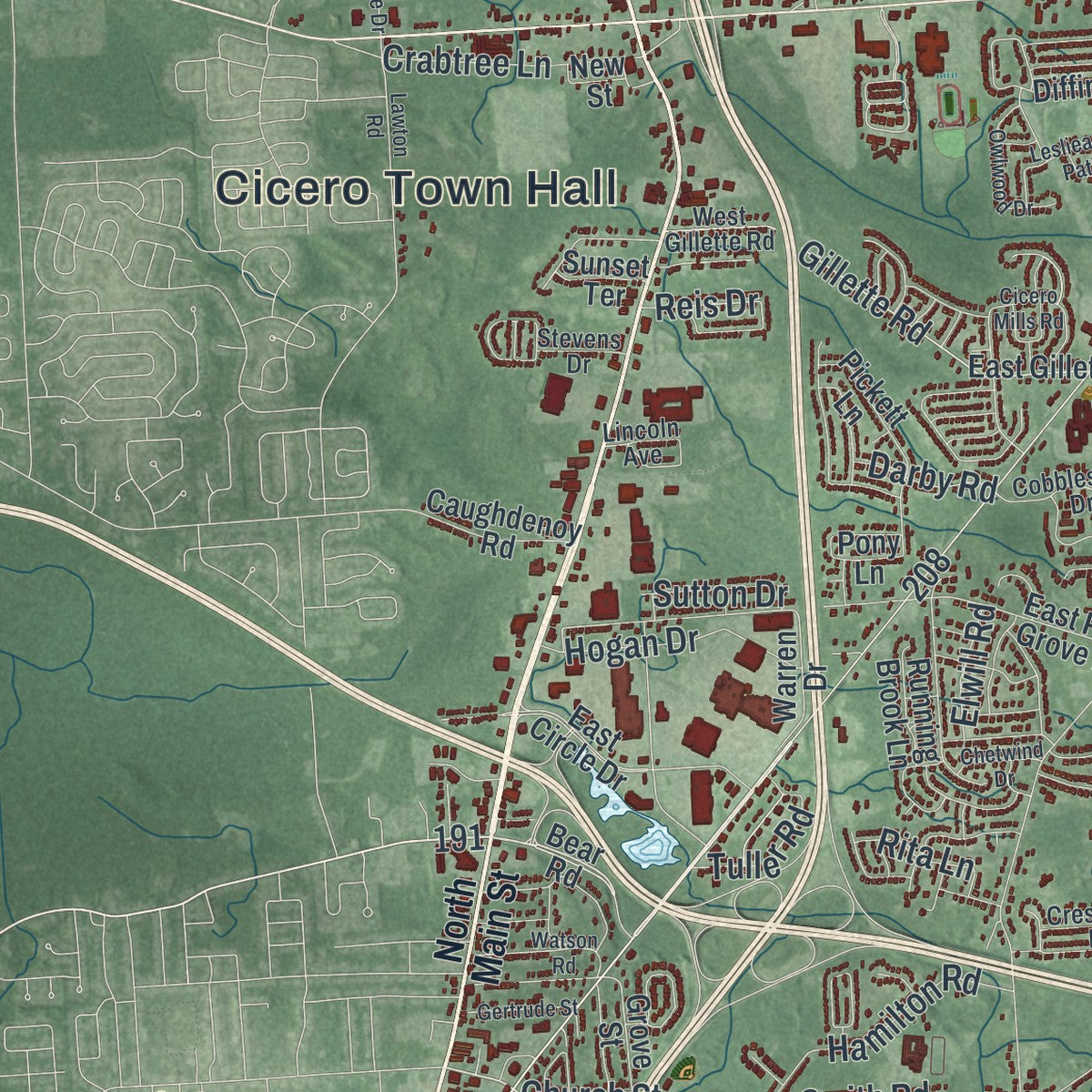 Close-up 1 of the Cicero, New York map artwork