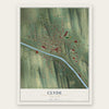 Clyde, New York map print, the full design