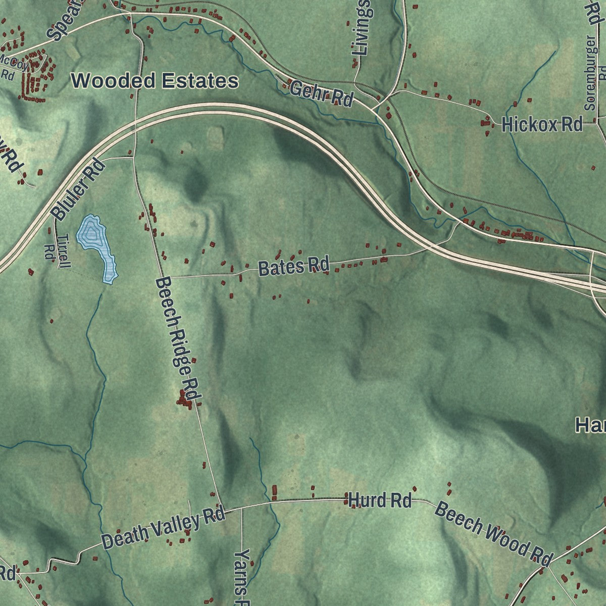 Close-up 2 of the Colesville, New York map artwork