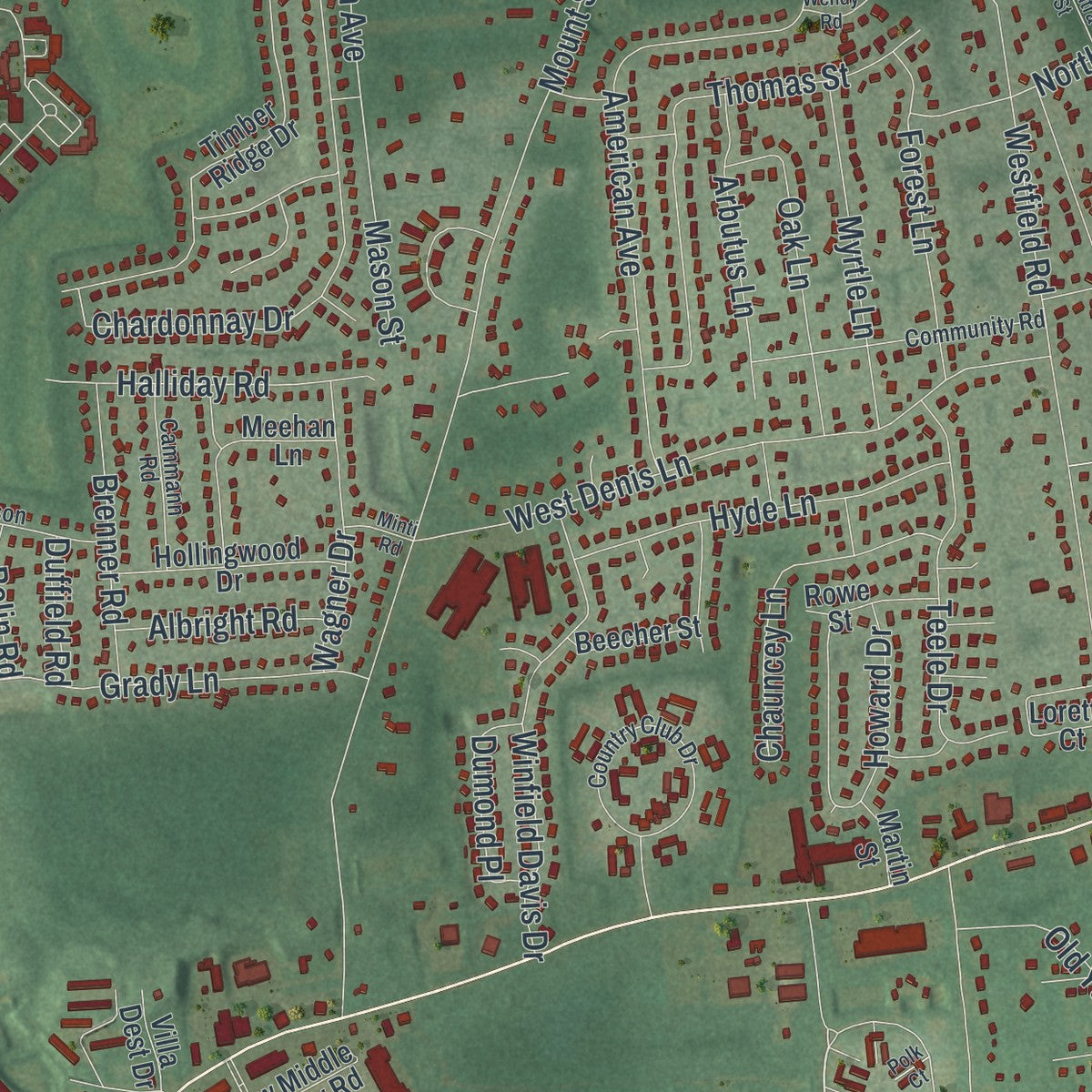 Close-up 2 of the Coram, New York map artwork