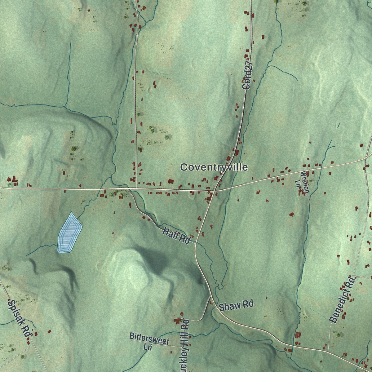 Close-up 1 of the Coventry, New York map artwork