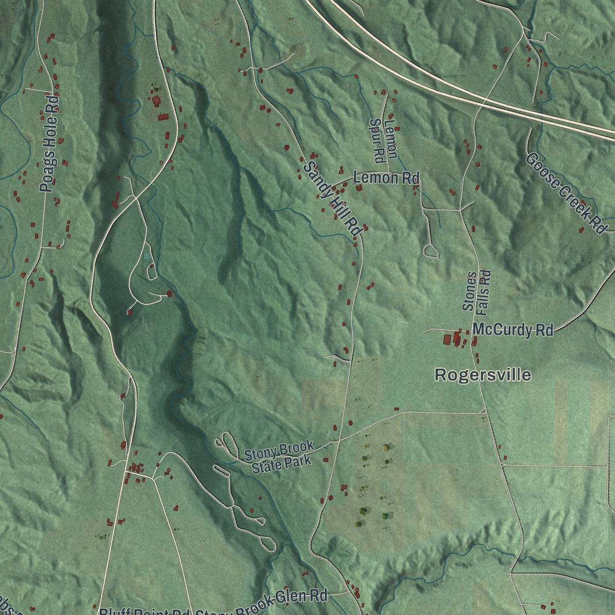 Close-up 1 of the Dansville, New York map artwork