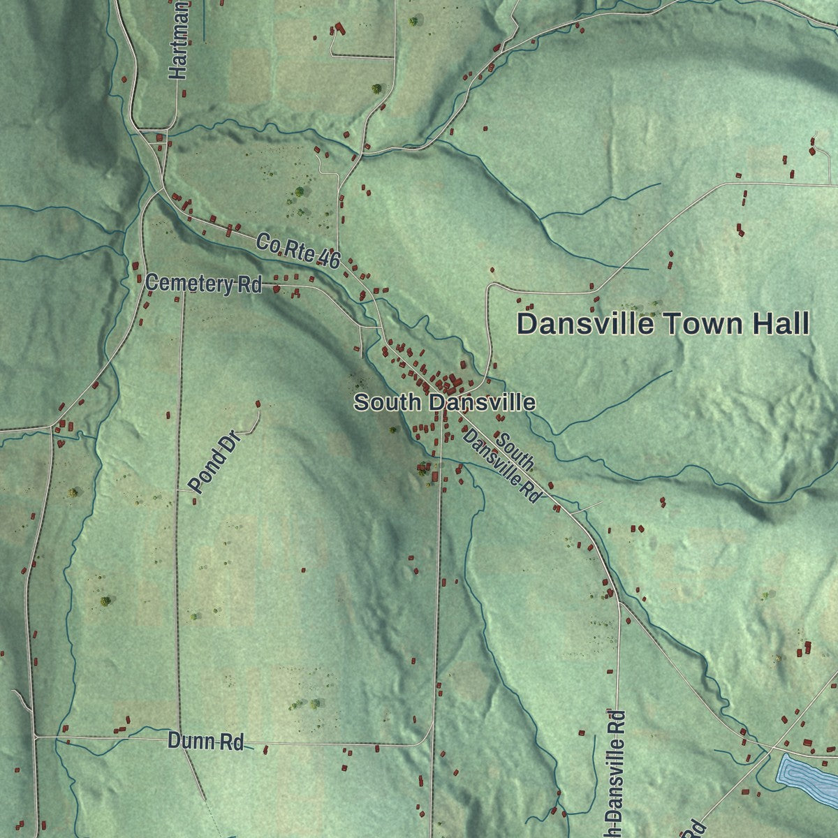 Close-up 2 of the Dansville, New York map artwork