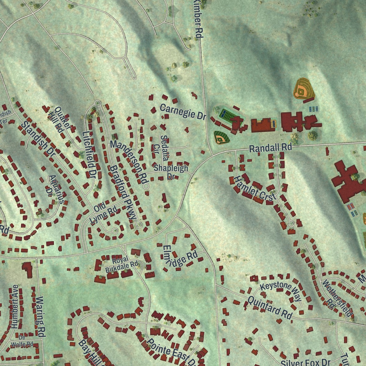 Close-up of the map of De Witt, New York print showing street and building detail