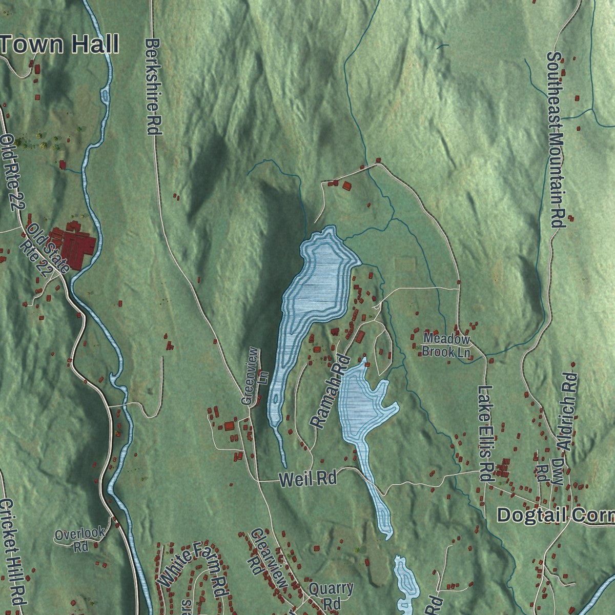 Close-up of the map of Dover, New York print showing street and building detail