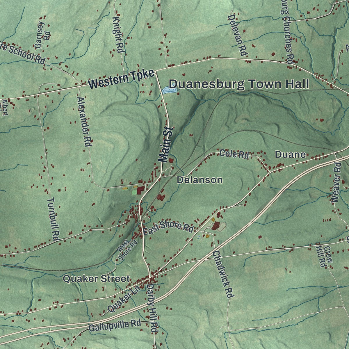 Close-up 1 of the Duanesburg, New York map artwork