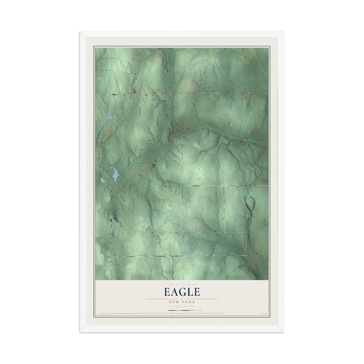 Eagle, New York map print, 12" x 18" W/ White Ayous Wood Frame mockup