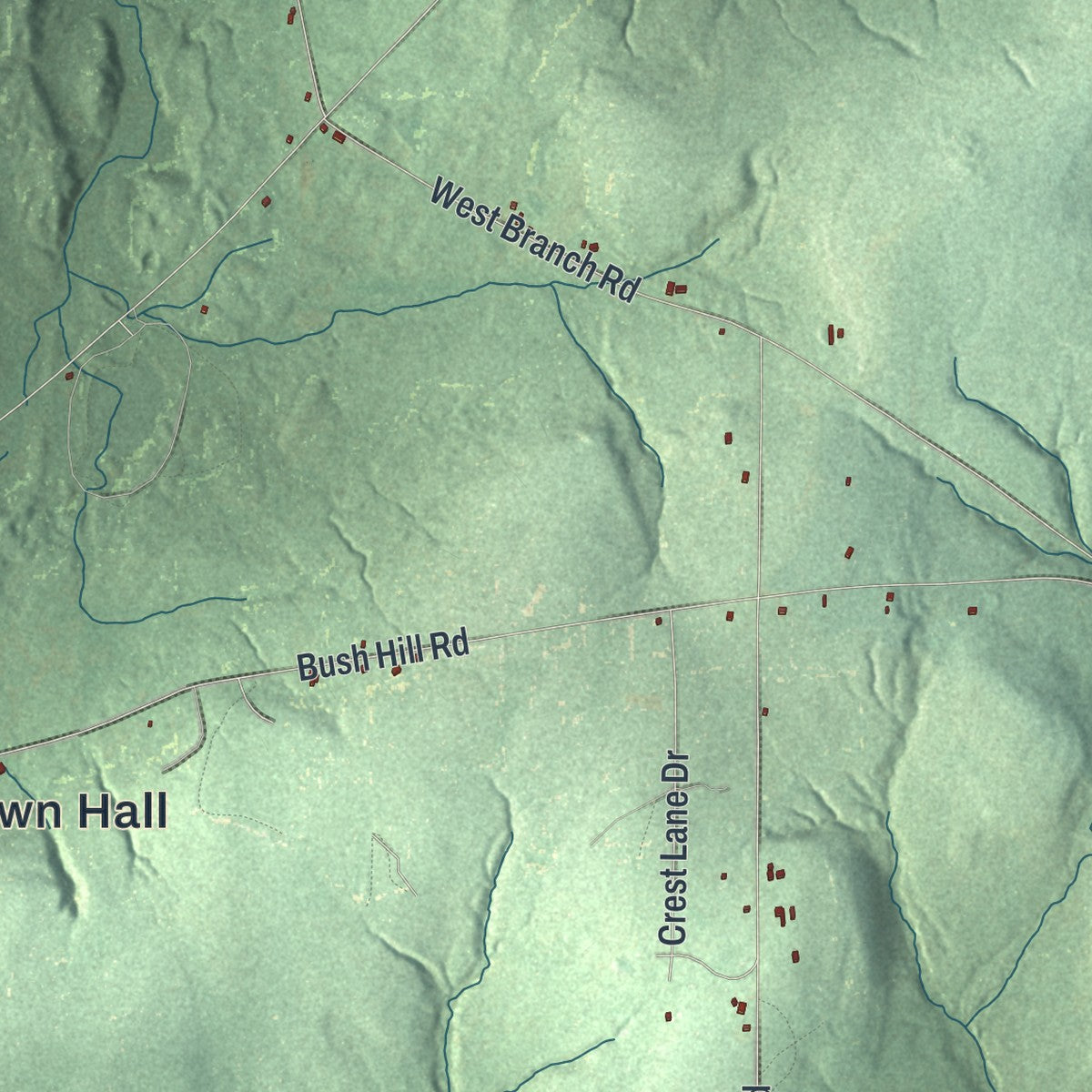 Close-up 2 of the Farmersville, New York map artwork
