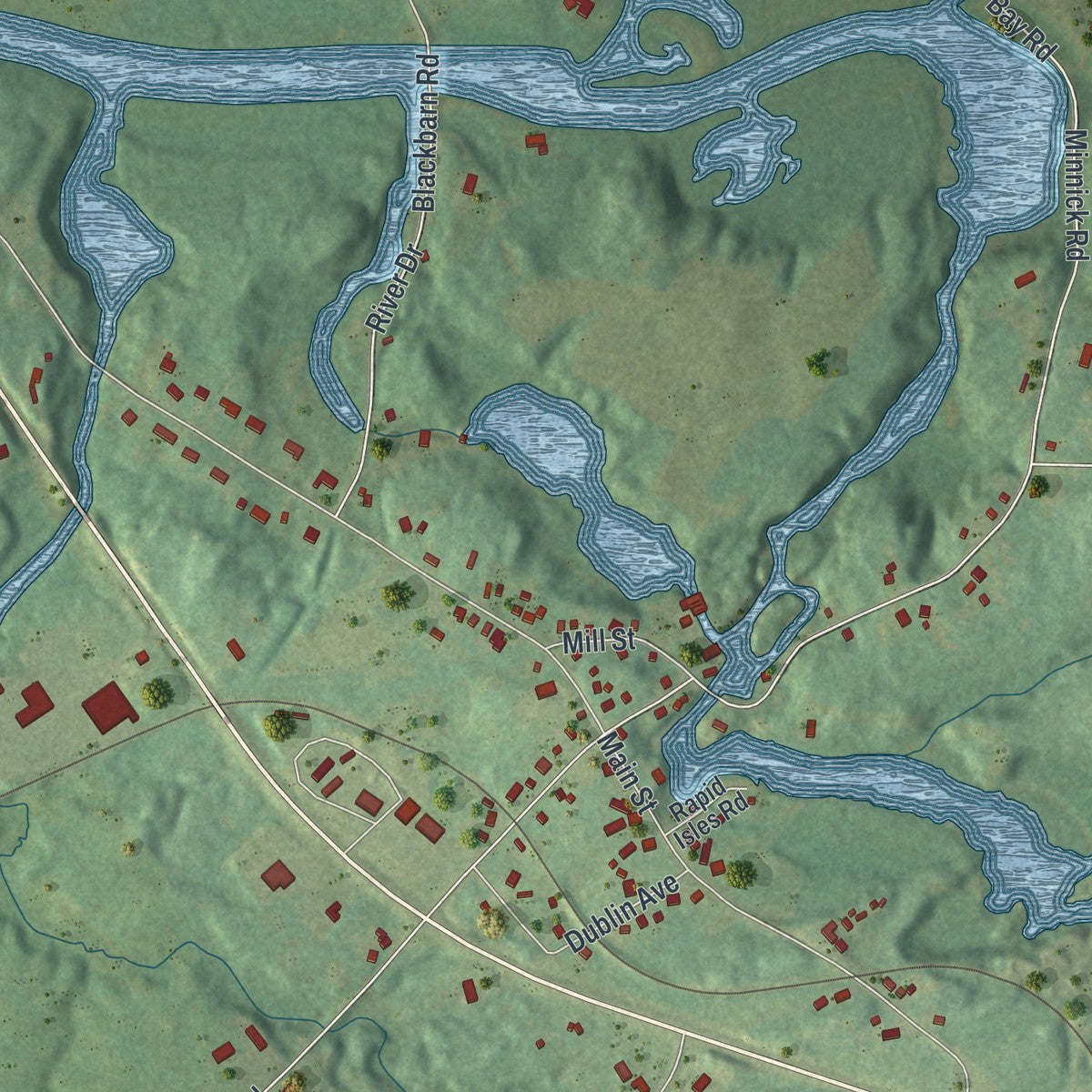 Close-up of the map of Hailesboro, New York print showing street and building detail