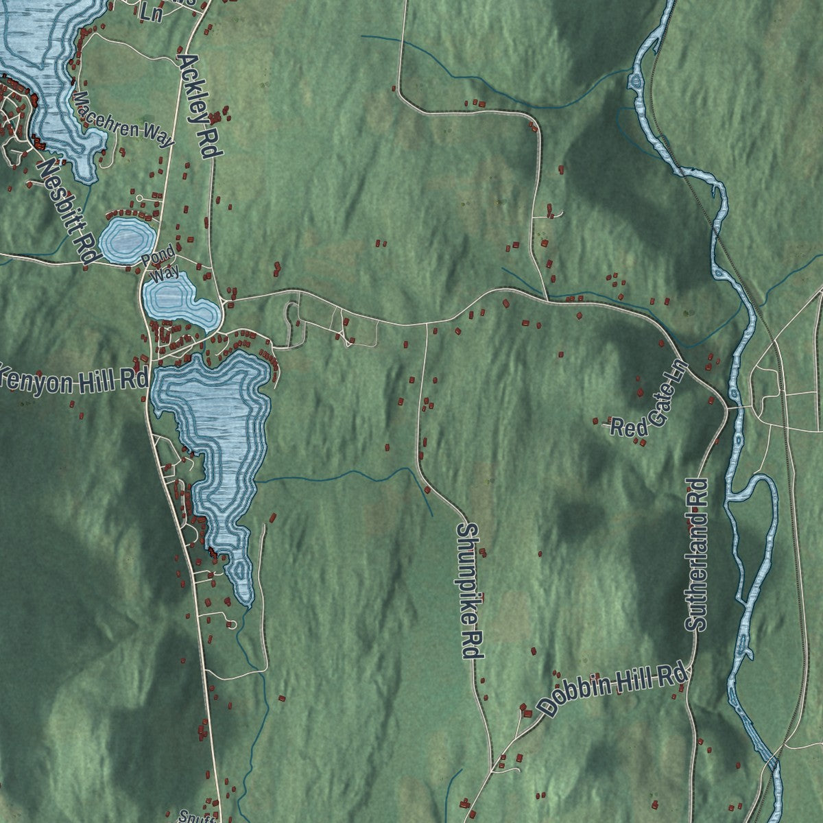 Close-up of the map of Jackson, New York print showing street and building detail