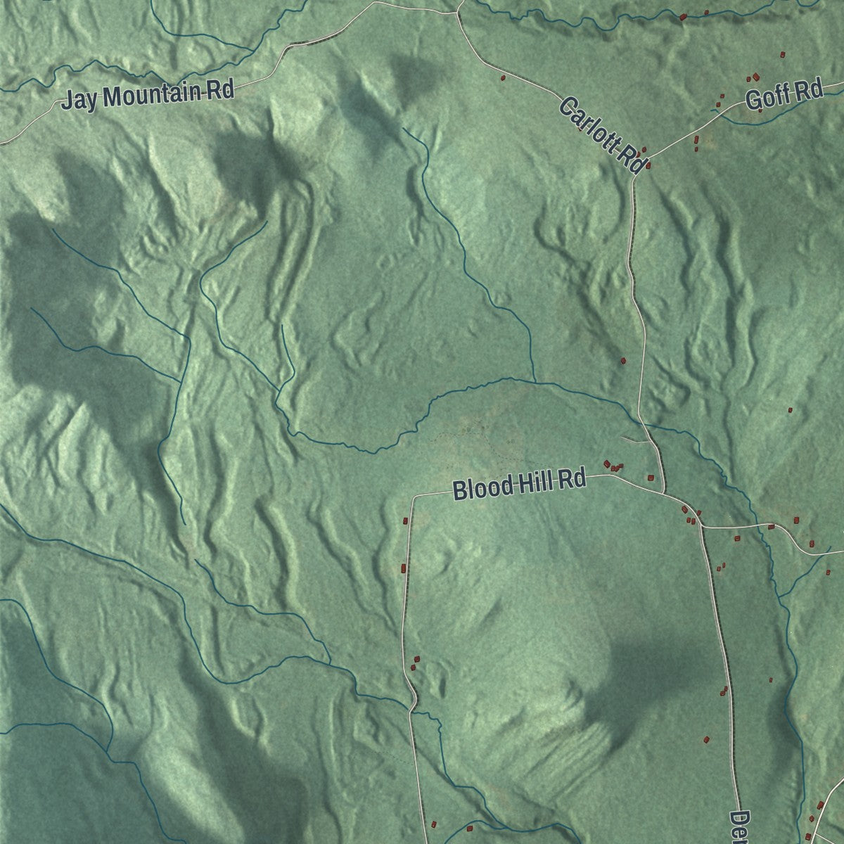 Second close-up of the map of Lewis, Essex County, New York print showing more streets and buildings