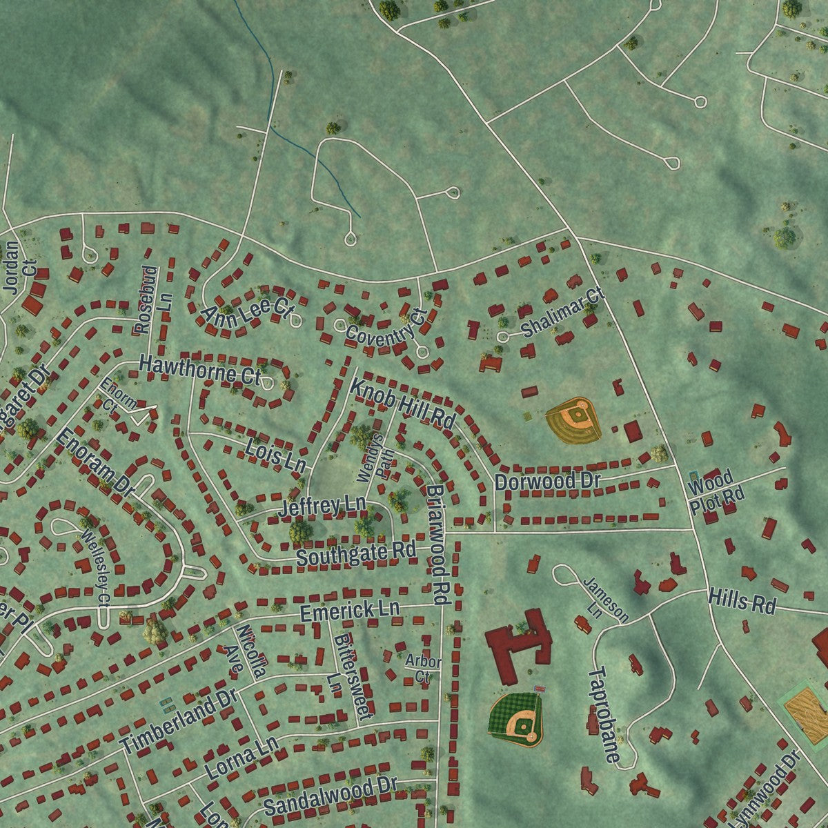 Close-up 2 of the Loudonville, New York map artwork