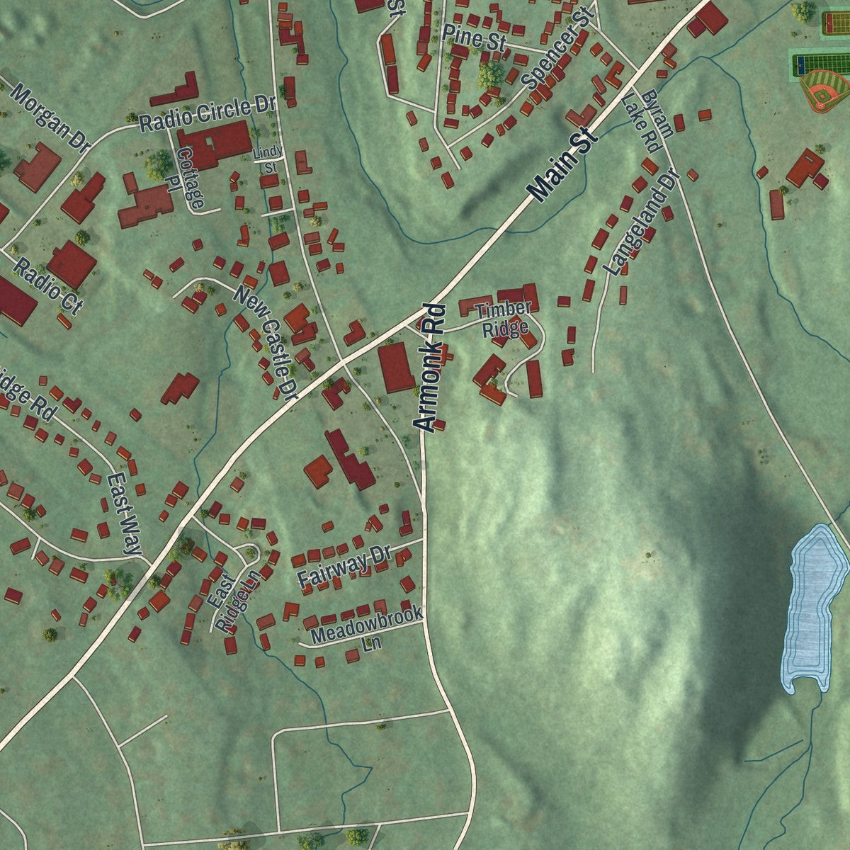 Close-up 2 of the Mount Kisco, New York map artwork