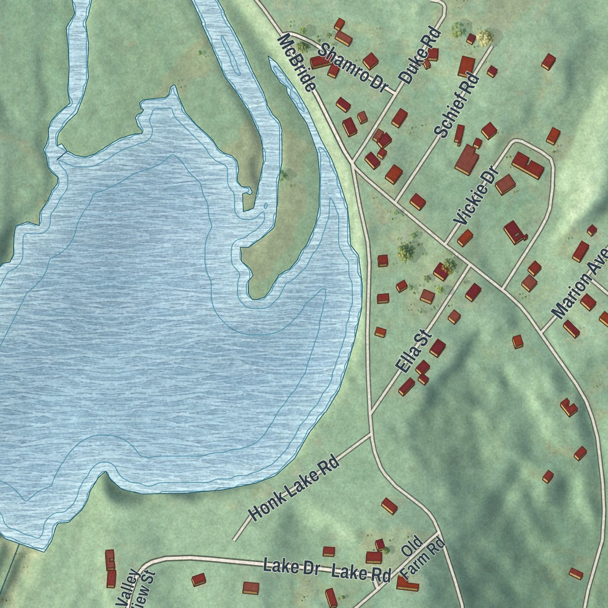 Close-up of the map of Napanoch, New York print showing street and building detail