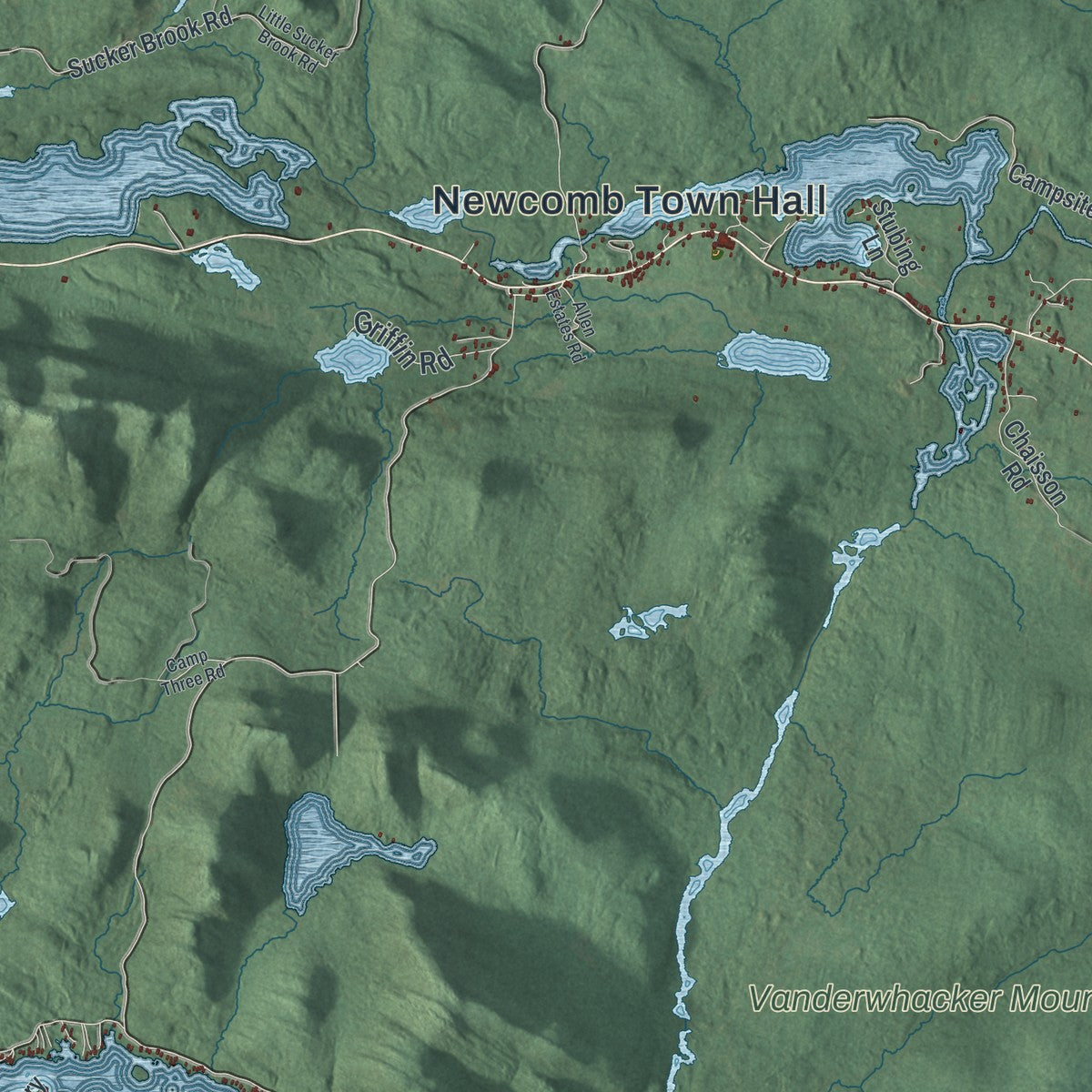 Close-up 1 of the Newcomb, New York map artwork