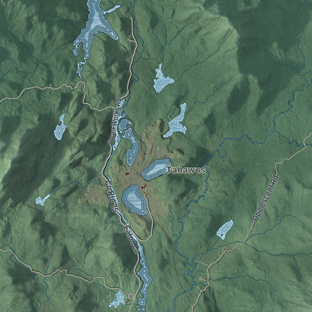 Close-up 2 of the Newcomb, New York map artwork