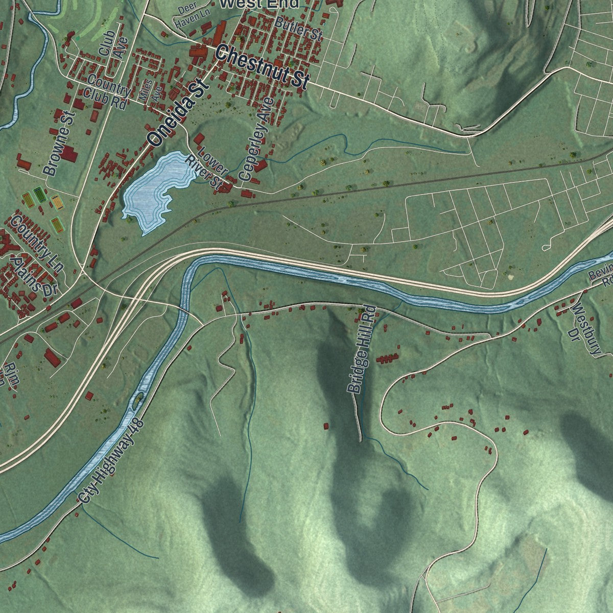 Close-up 1 of the Oneonta, New York map artwork