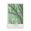 Plymouth, New York map print, 12" x 18" Archival Matte Print mockup