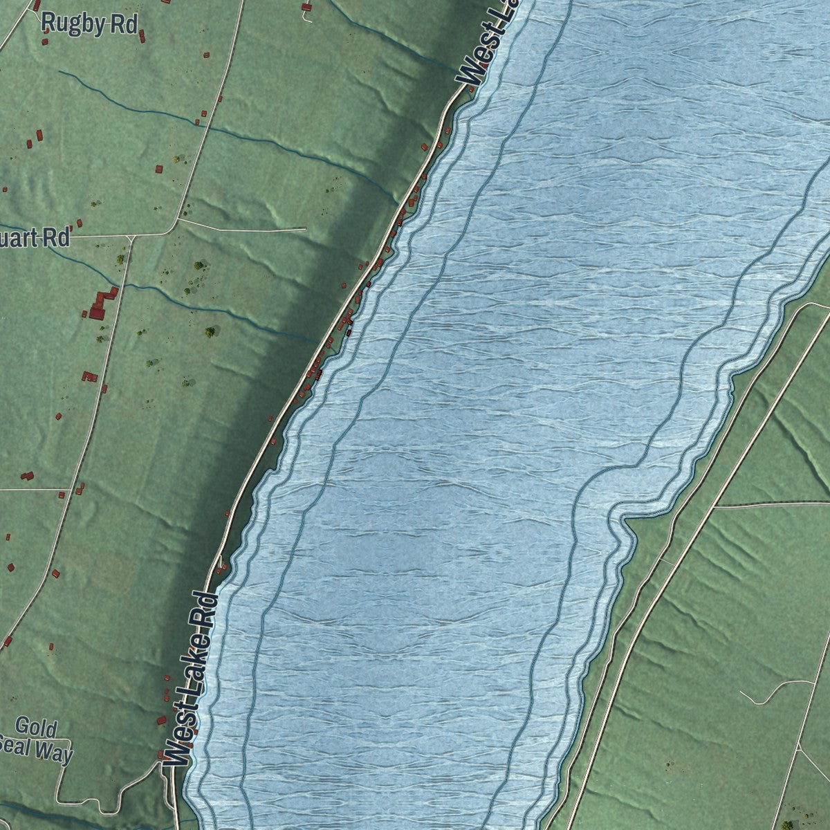 Close-up 2 of the Pulteney, New York map artwork