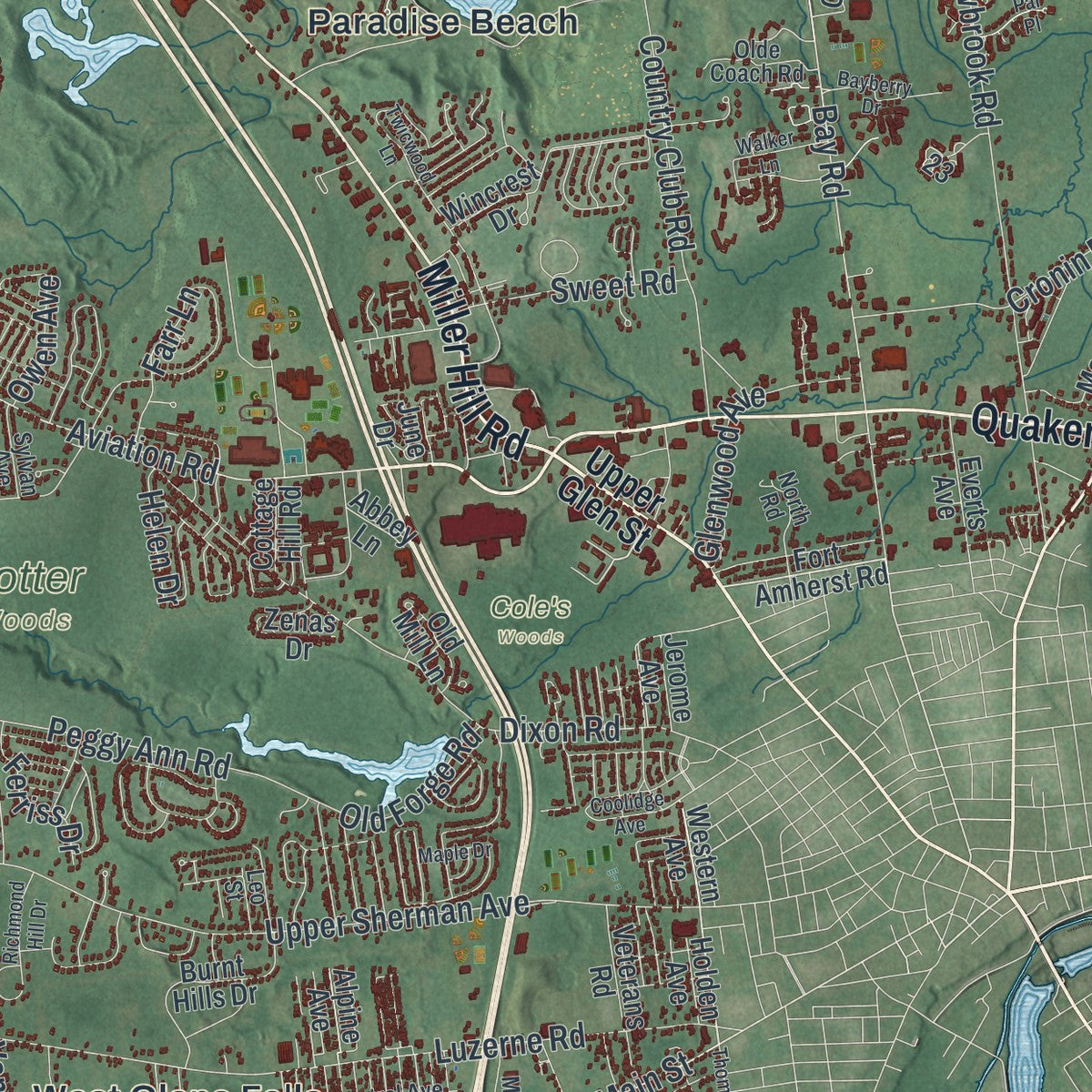 Close-up 1 of the Queensbury, New York map artwork