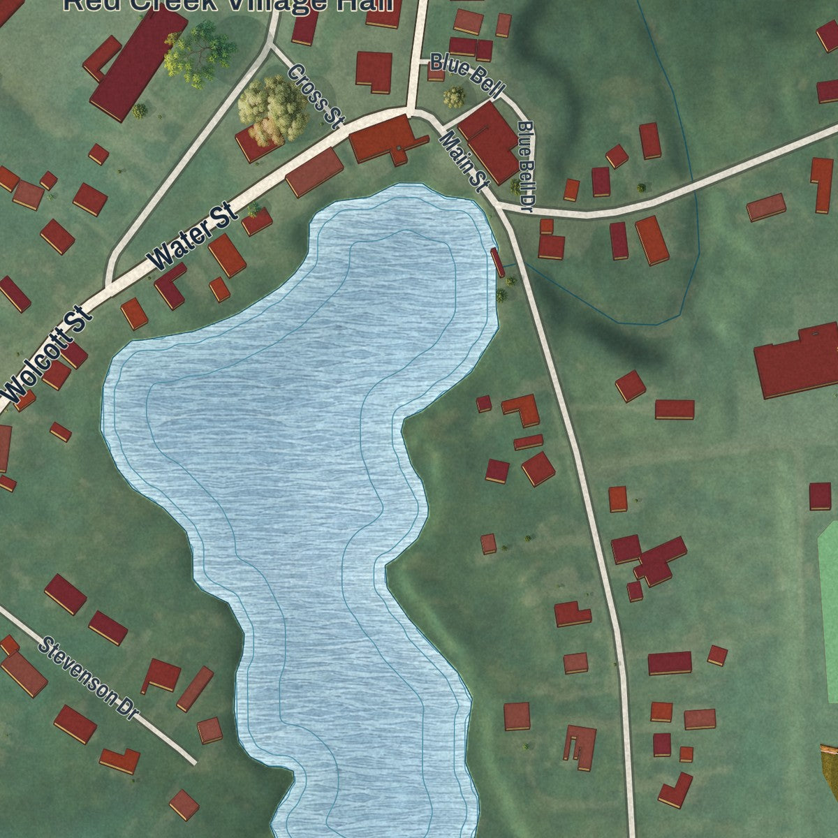 Close-up of the map of Red Creek, New York print showing street and building detail