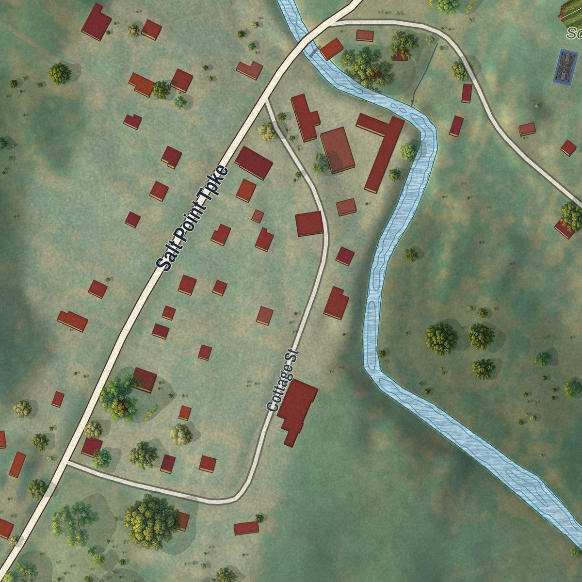 Close-up of the map of Salt Point, New York print showing street and building detail