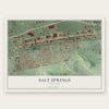 Salt Springs, New York map print, the full design