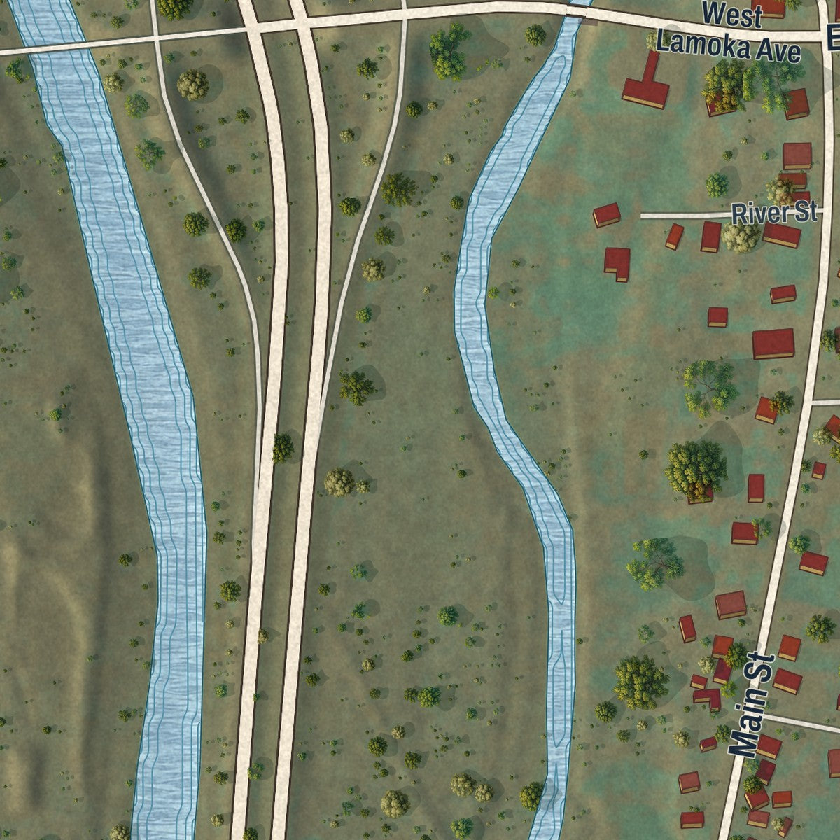 Close-up of the map of Savona, New York print showing street and building detail