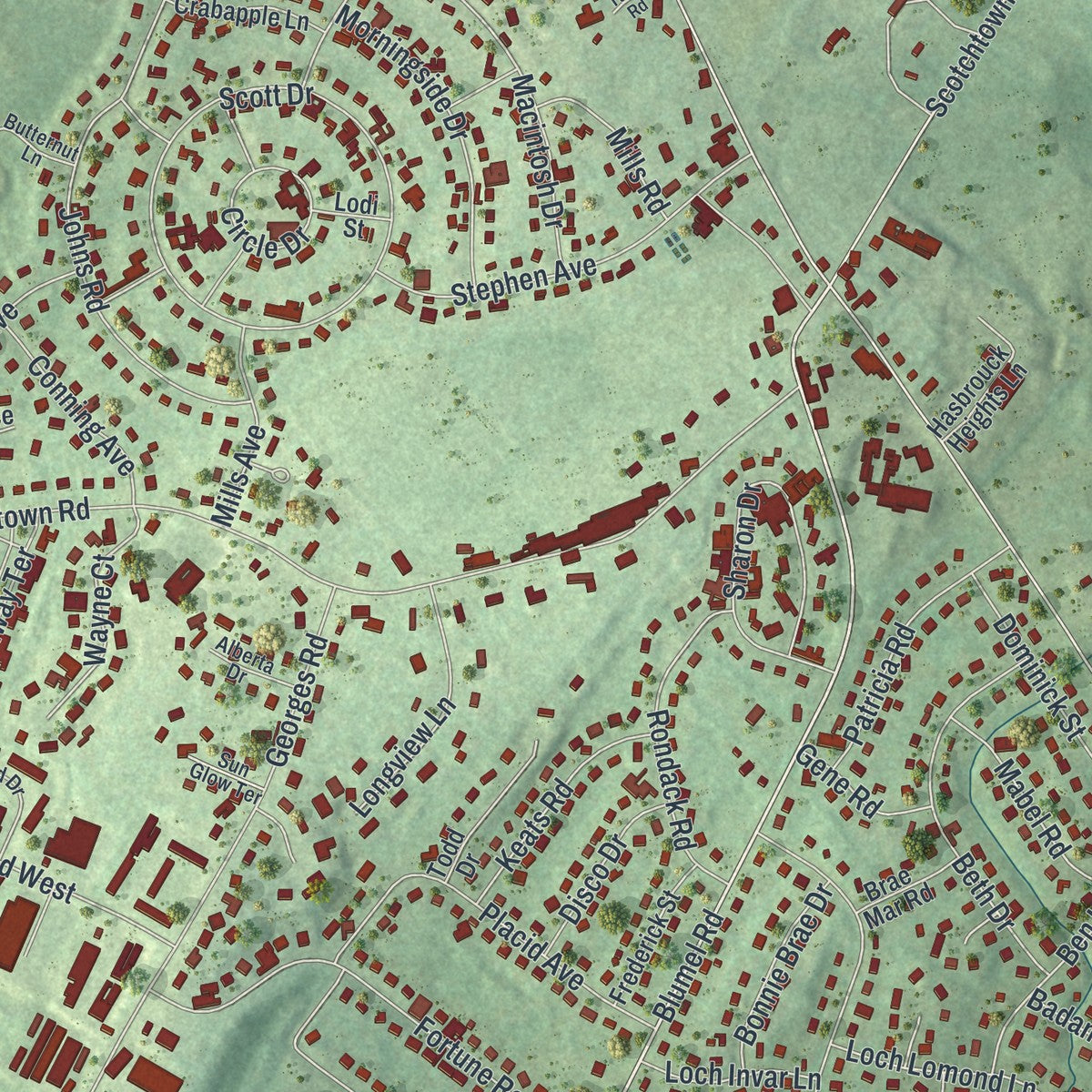 Close-up 1 of the Scotchtown, New York map artwork