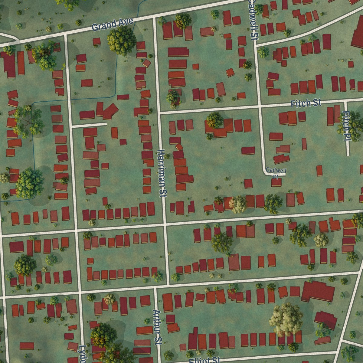 Close-up of the map of Skunk City, New York print showing street and building detail