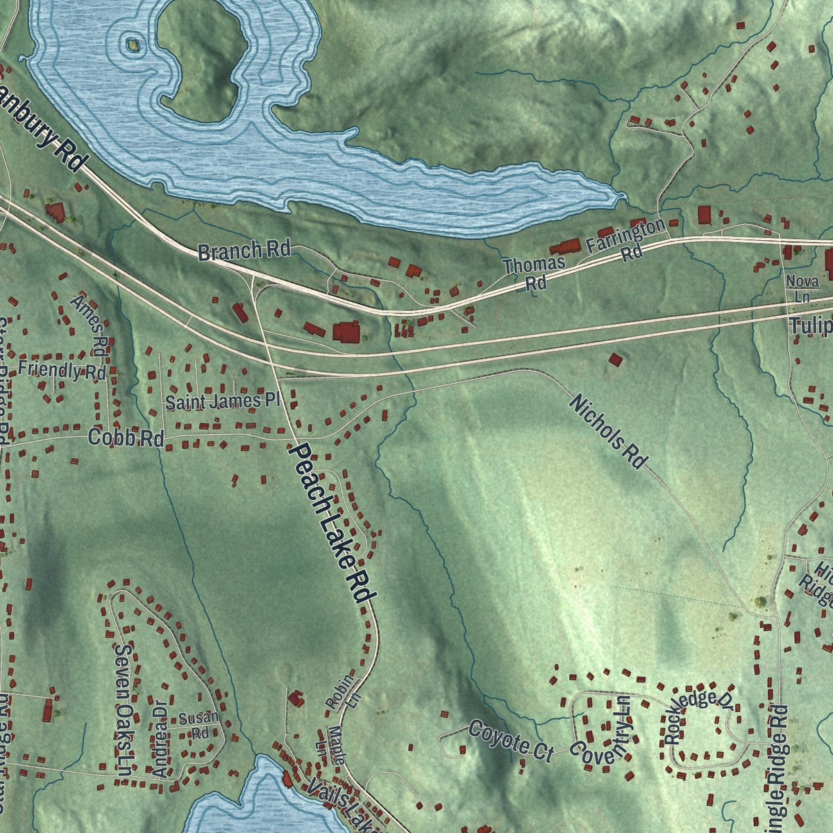 Close-up 2 of the Southeast, New York map artwork