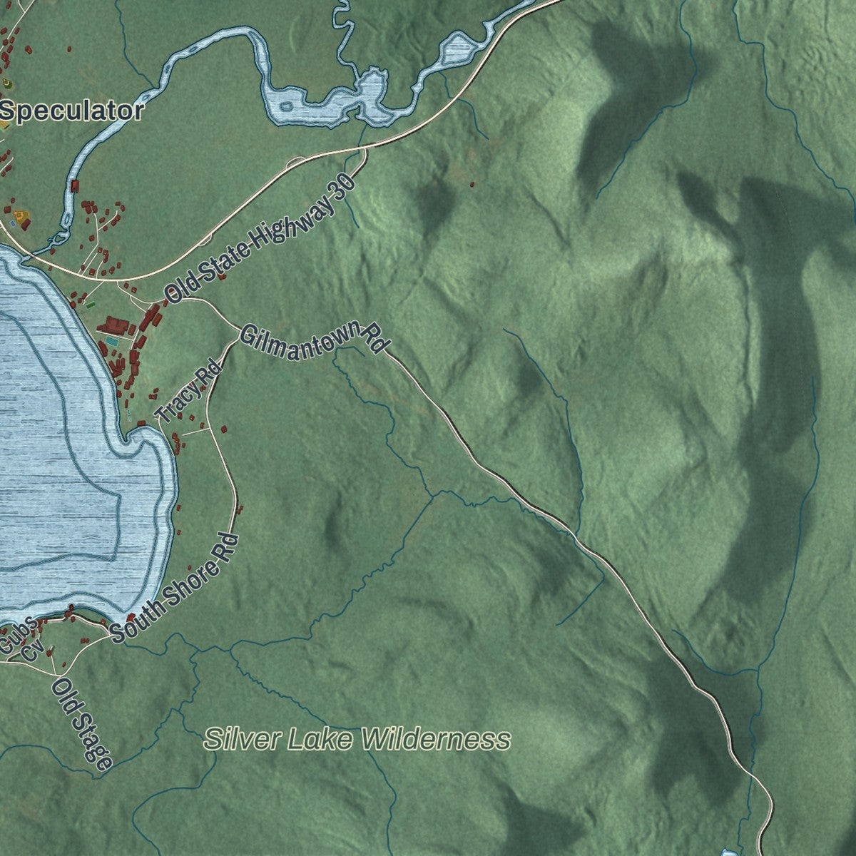 Close-up 2 of the Speculator, New York map artwork