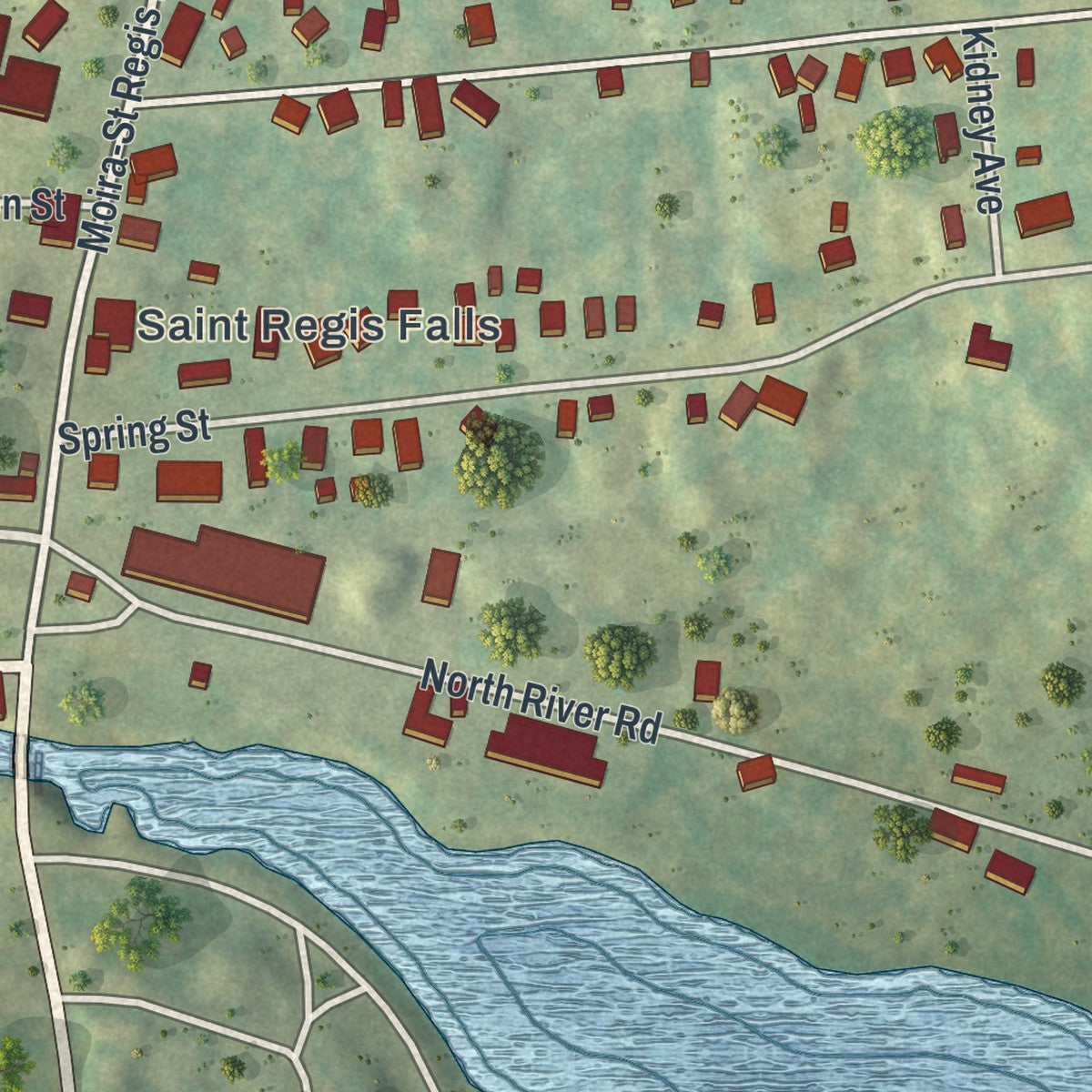 Close-up of the map of St. Regis Falls, New York print showing street and building detail
