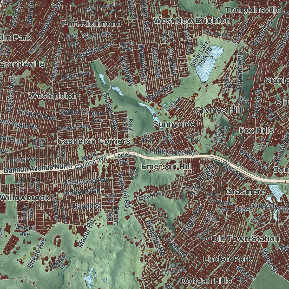 Close-up of the map of Staten Island, New York print showing street and building detail