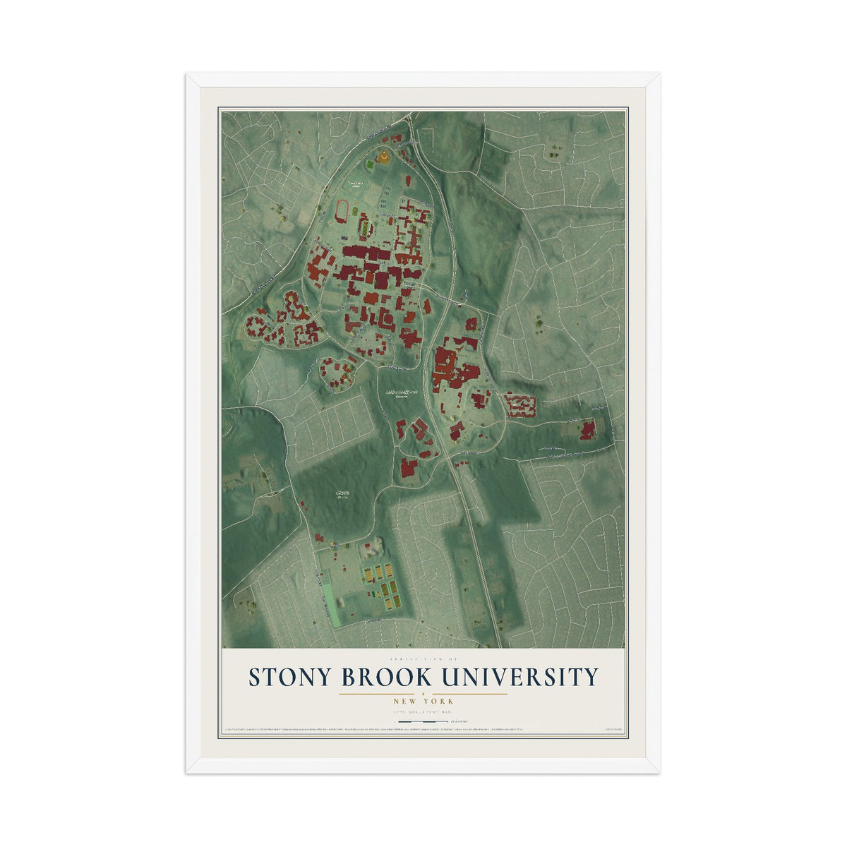 Stony Brook University, New York map print, 12" x 18" W/ White Ayous Wood Frame mockup