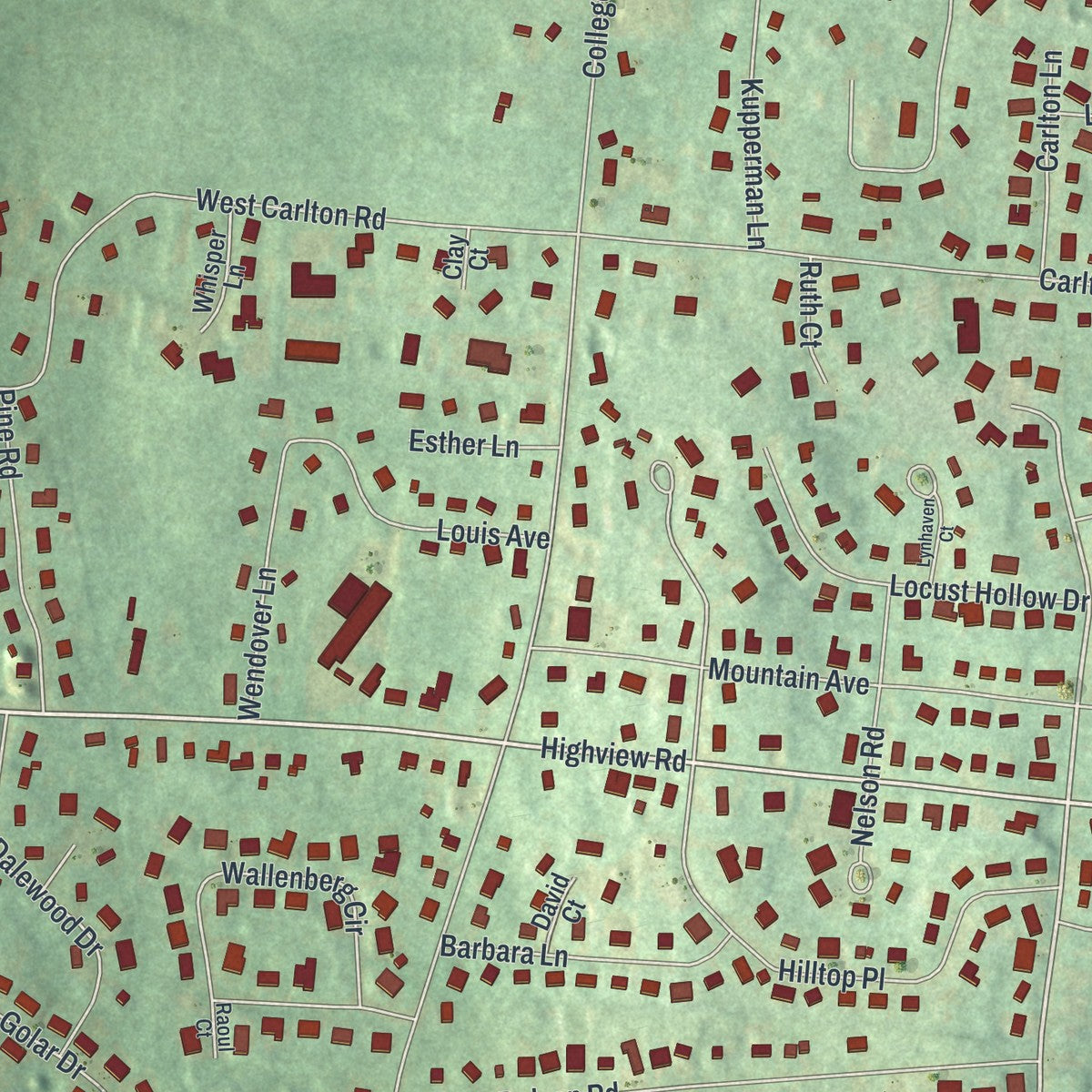 Close-up of the map of Viola, New York print showing street and building detail