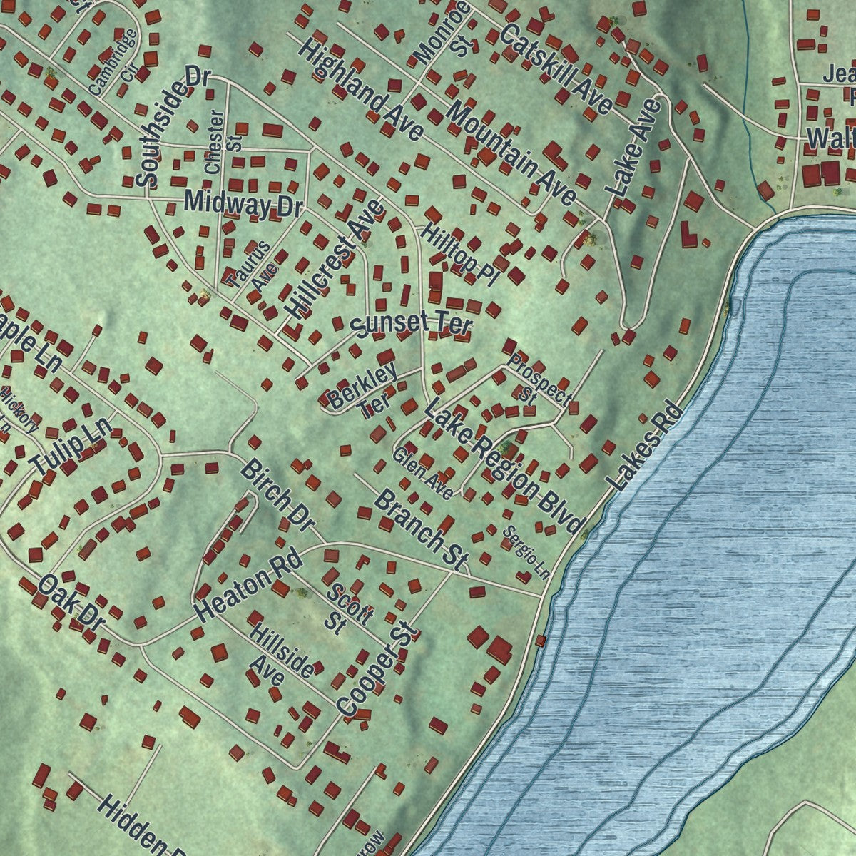 Close-up of the map of Walton Park, New York print showing street and building detail