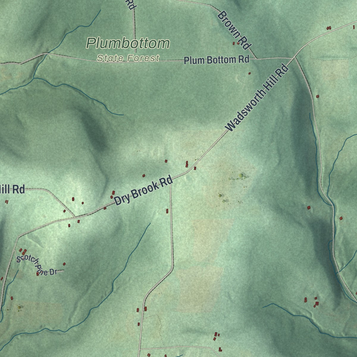 Close-up 1 of the Ward, New York map artwork