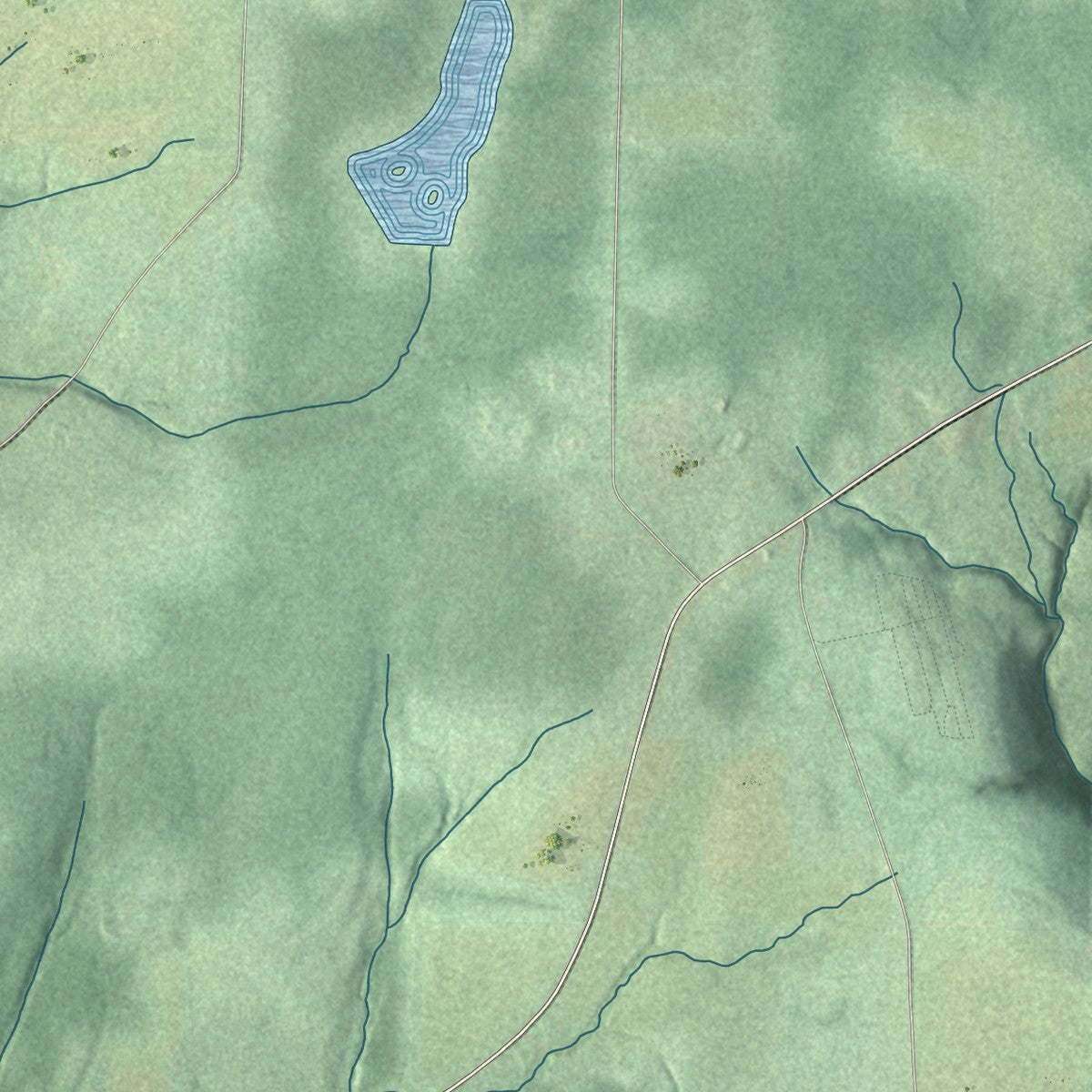 Close-up 2 of the Ward, New York map artwork