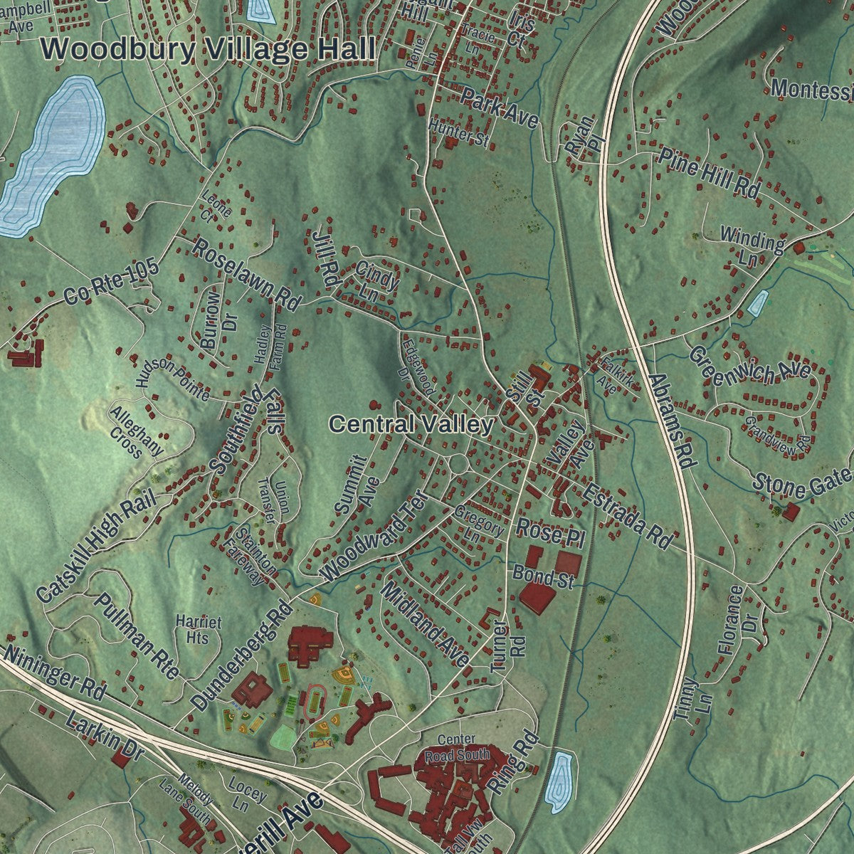 Close-up 1 of the Woodbury, New York map artwork